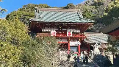 鶴岡八幡宮の初詣