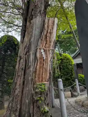 志茂熊野神社(東京都)