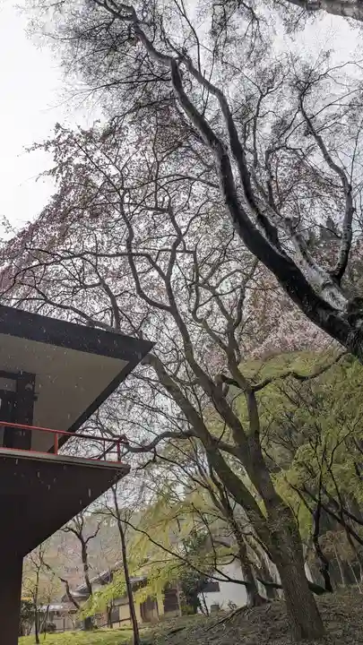 大原野神社(京都府)