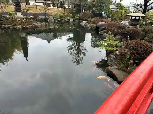 貫井神社の{uncategorized: "未分類", other: "その他", undefined: "問題あり", building: "その他建物", grave: "お墓", sacred_gate: "鳥居", guardian: "狛犬", statue: "像", buddha: "仏像", history: "歴史", nature: "自然", garden: "庭園", animal: "動物", pagoda: "塔", temizu: "手水舎", mountain_gate: "山門・神門", sanctuary: "本殿・本堂", subordinate: "末社・摂社", art: "芸術", scenery: "景色", jizo: "地蔵", ema: "絵馬", goshuin: "御朱印", omikuji: "おみくじ", items: "授与品その他", amulet: "お守り", goshuincho: "御朱印帳", eats: "食事", festival: "お祭り", votive_dance: "神楽", shichigosan: "七五三参", wedding: "結婚式", experience: "体験その他", initially: "初詣", around: "周辺", anti_infection: "感染症対策"}