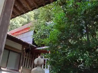 黒戸奈神社(山梨県)