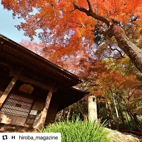普門寺(切り絵御朱印発祥の寺)の本殿・本堂