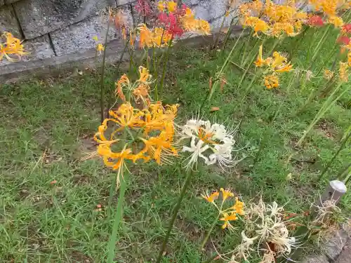 横浜　西方寺(神奈川県)