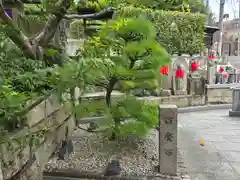 泰聖寺(大阪府)