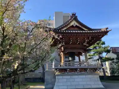 専光寺の{uncategorized: "未分類", other: "その他", undefined: "問題あり", building: "その他建物", grave: "お墓", sacred_gate: "鳥居", guardian: "狛犬", statue: "像", buddha: "仏像", history: "歴史", nature: "自然", garden: "庭園", animal: "動物", pagoda: "塔", temizu: "手水舎", mountain_gate: "山門・神門", sanctuary: "本殿・本堂", subordinate: "末社・摂社", art: "芸術", scenery: "景色", jizo: "地蔵", ema: "絵馬", goshuin: "御朱印", omikuji: "おみくじ", items: "授与品その他", amulet: "お守り", goshuincho: "御朱印帳", eats: "食事", festival: "お祭り", votive_dance: "神楽", shichigosan: "七五三参", wedding: "結婚式", experience: "体験その他", initially: "初詣", around: "周辺", anti_infection: "感染症対策"}