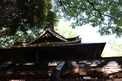 川越氷川神社(埼玉県)