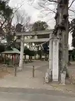 胸形神社(栃木県)