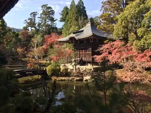 清凉寺の庭園