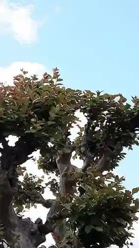 西方山極楽寺(岐阜県)