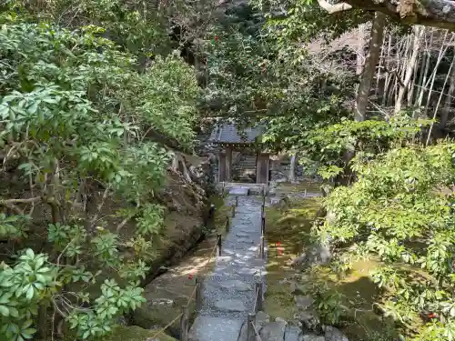 西芳寺の{uncategorized: "未分類", other: "その他", undefined: "問題あり", building: "その他建物", grave: "お墓", sacred_gate: "鳥居", guardian: "狛犬", statue: "像", buddha: "仏像", history: "歴史", nature: "自然", garden: "庭園", animal: "動物", pagoda: "塔", temizu: "手水舎", mountain_gate: "山門・神門", sanctuary: "本殿・本堂", subordinate: "末社・摂社", art: "芸術", scenery: "景色", jizo: "地蔵", ema: "絵馬", goshuin: "御朱印", omikuji: "おみくじ", items: "授与品その他", amulet: "お守り", goshuincho: "御朱印帳", eats: "食事", festival: "お祭り", votive_dance: "神楽", shichigosan: "七五三参", wedding: "結婚式", experience: "体験その他", initially: "初詣", around: "周辺", anti_infection: "感染症対策"}