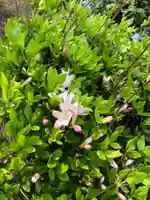 大生郷天満宮の庭園