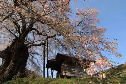 上石不動堂の自然