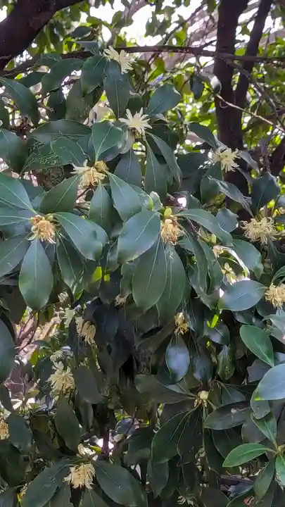 養源院(京都府)