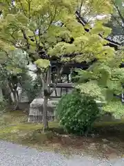 廬山寺（廬山天台講寺）の御朱印