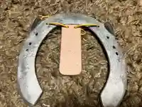 白羽神社(静岡県)