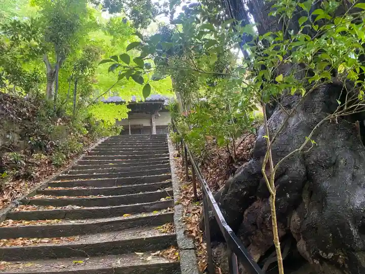 東光寺の{uncategorized: "未分類", other: "その他", undefined: "問題あり", building: "その他建物", grave: "お墓", sacred_gate: "鳥居", guardian: "狛犬", statue: "像", buddha: "仏像", history: "歴史", nature: "自然", garden: "庭園", animal: "動物", pagoda: "塔", temizu: "手水舎", mountain_gate: "山門・神門", sanctuary: "本殿・本堂", subordinate: "末社・摂社", art: "芸術", scenery: "景色", jizo: "地蔵", ema: "絵馬", goshuin: "御朱印", omikuji: "おみくじ", items: "授与品その他", amulet: "お守り", goshuincho: "御朱印帳", eats: "食事", festival: "お祭り", votive_dance: "神楽", shichigosan: "七五三参", wedding: "結婚式", experience: "体験その他", initially: "初詣", around: "周辺", anti_infection: "感染症対策"}