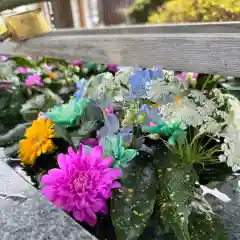 豊景神社(福島県)