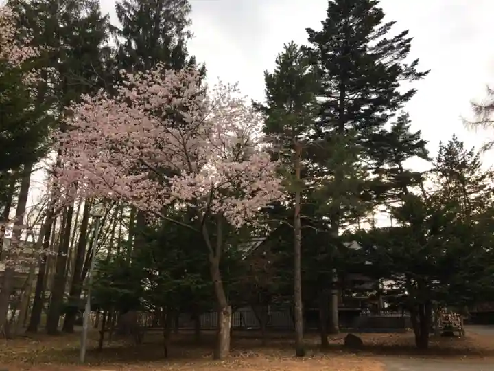 大谷地神社の自然