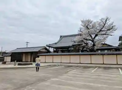 覚成寺の山門・神門