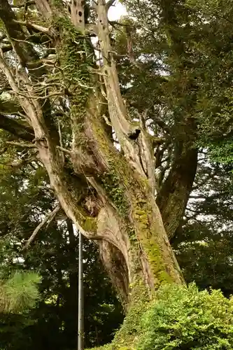 円城寺(島根県)