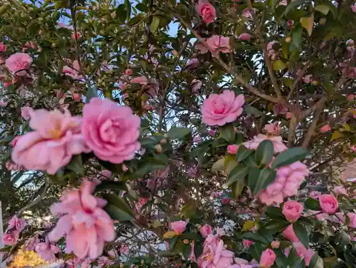 豊景神社(福島県)