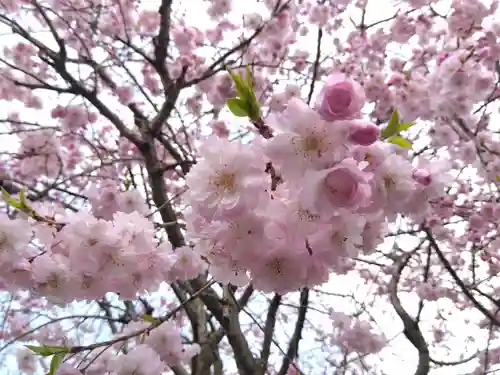 總社 和田八幡宮(福井県)