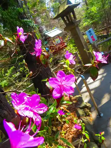 白石神社(北海道)