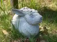 白兎神社(鳥取県)