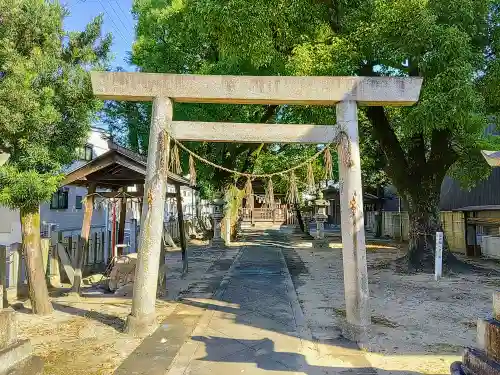 神明社（堀越神明社）の鳥居