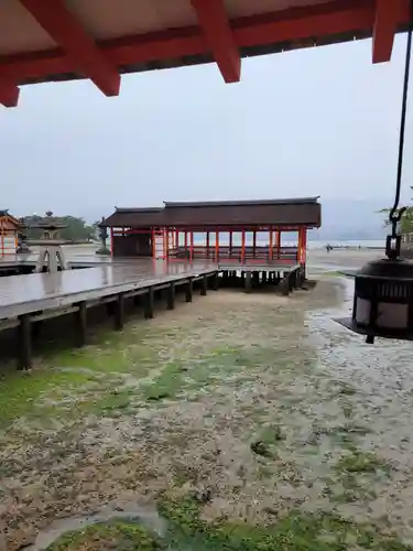 厳島神社(広島県)