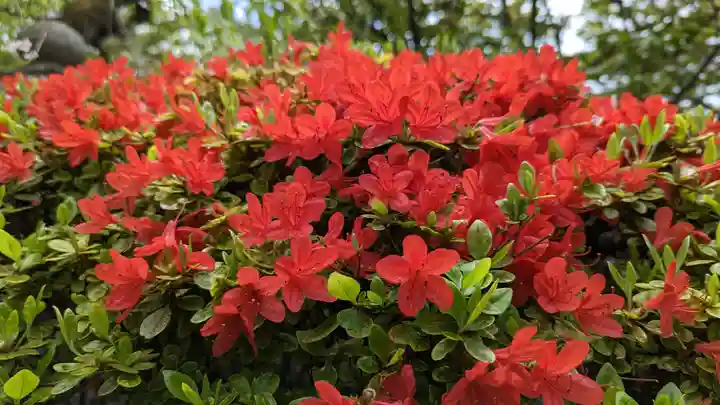 雨宝院(京都府)