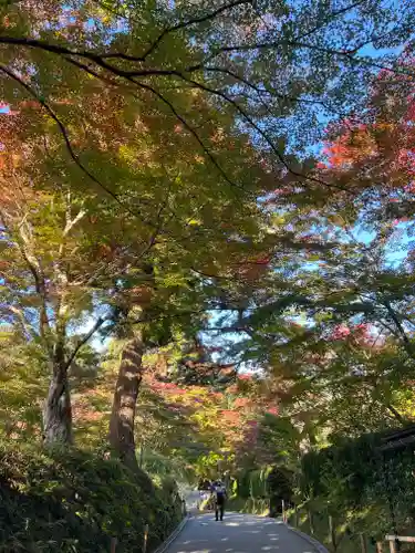 中尊寺の景色