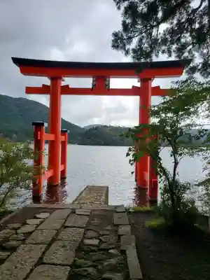 箱根神社の鳥居