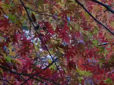 阿邪訶根神社(福島県)