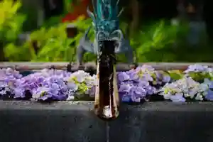 龍泉寺(茨城県)(2022年06月15日(水) 22時27分04秒投稿)