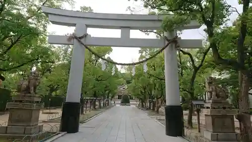 湊川神社の鳥居