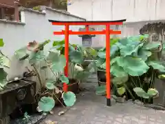 不動院の鳥居