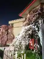 成願寺(東京都)