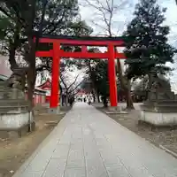 花園神社の鳥居