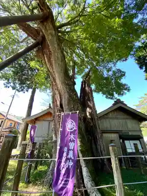 旗挙八幡宮(長野県)
