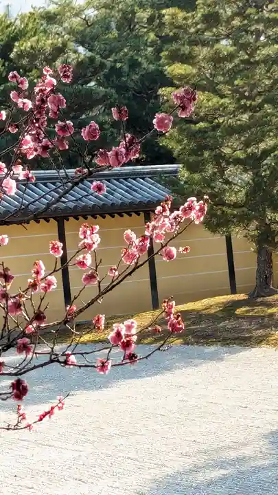 大覚寺(京都府)