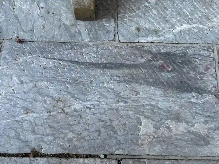 三峯神社の{uncategorized: "未分類", other: "その他", undefined: "問題あり", building: "その他建物", grave: "お墓", sacred_gate: "鳥居", guardian: "狛犬", statue: "像", buddha: "仏像", history: "歴史", nature: "自然", garden: "庭園", animal: "動物", pagoda: "塔", temizu: "手水舎", mountain_gate: "山門・神門", sanctuary: "本殿・本堂", subordinate: "末社・摂社", art: "芸術", scenery: "景色", jizo: "地蔵", ema: "絵馬", goshuin: "御朱印", omikuji: "おみくじ", items: "授与品その他", amulet: "お守り", goshuincho: "御朱印帳", eats: "食事", festival: "お祭り", votive_dance: "神楽", shichigosan: "七五三参", wedding: "結婚式", experience: "体験その他", initially: "初詣", around: "周辺", anti_infection: "感染症対策"}