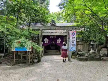 加世智神社の本殿・本堂