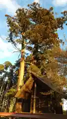 鹿嶋三嶋神社(茨城県)