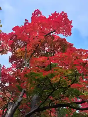 月寒神社の自然