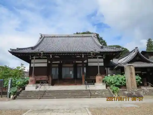 善導寺の本殿・本堂