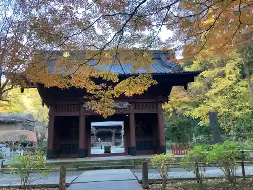 妙本寺(神奈川県)