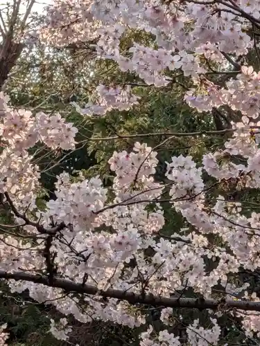 神明氷川神社(東京都)
