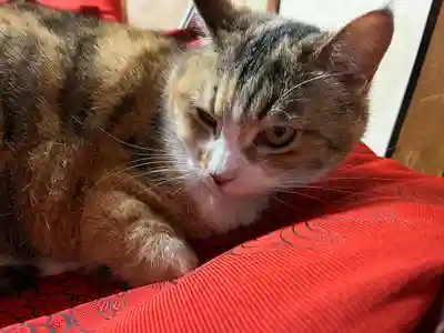 秩父札所十三番 慈眼寺(埼玉県)