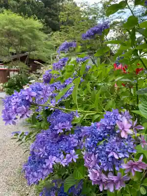 連祥院(栃木県)